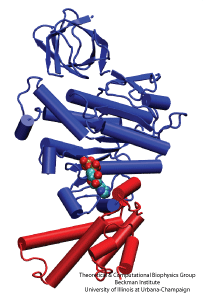 cytochrome