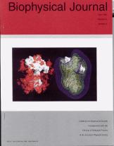 Biophysical Journal