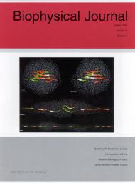 Biophysical Journal