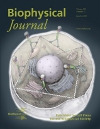 Biophysical Journal