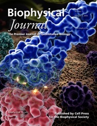 Biophysical Journal