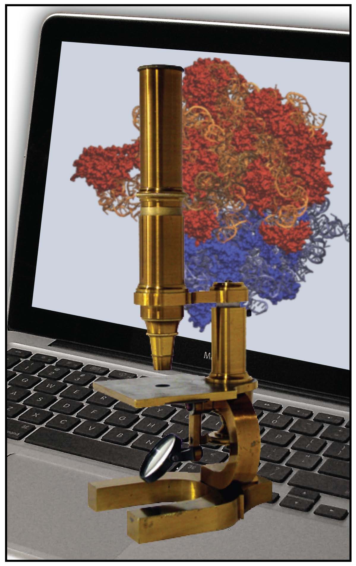 The Computational Microscope