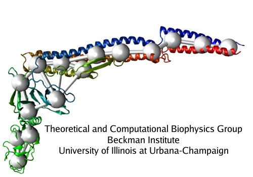 Coarse-Grained Protein