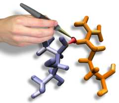 Steered/Interactive Molecular Dynamics