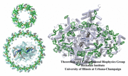 Bioenergetic Proteins