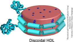 Discoidal HDL