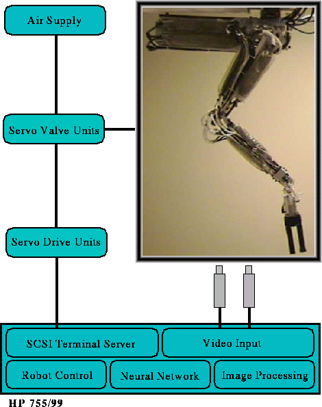 Diagram of Robot System Showing SoftArm