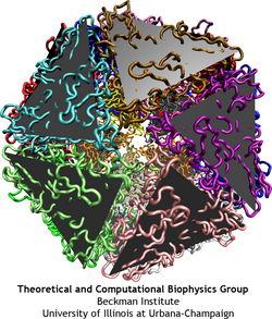 Icosahedral structure of the viral capsid