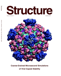 Cover of Structure