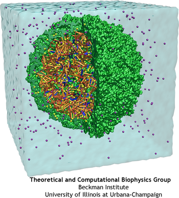 Fully solvated STMV system for molecular dynamics