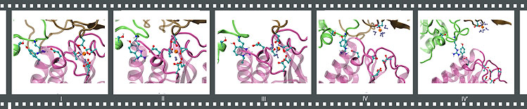 Stretching a PA-CMG2 complex