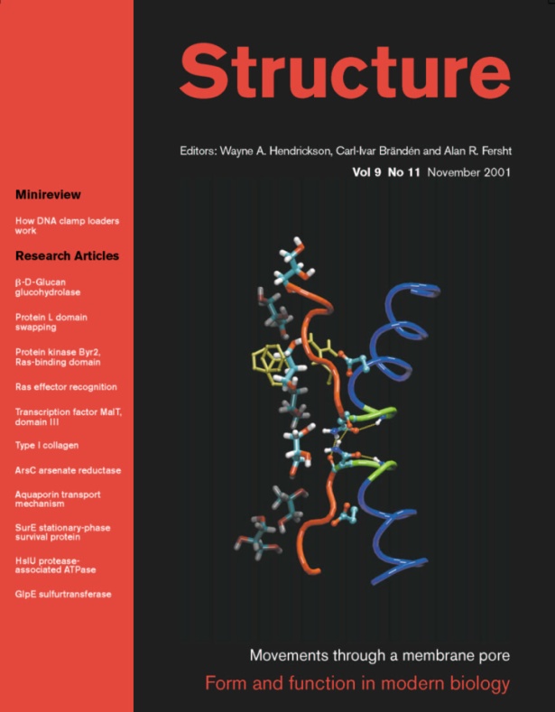 Structure Cover Page, Issue 318