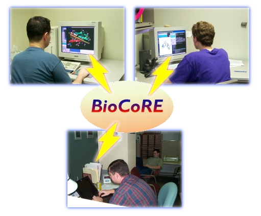 BioCoRE collage