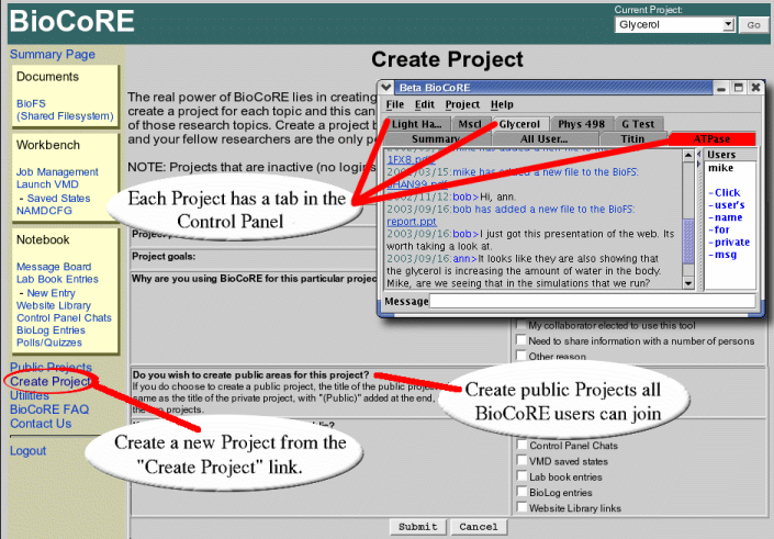 BioCoRE Projects