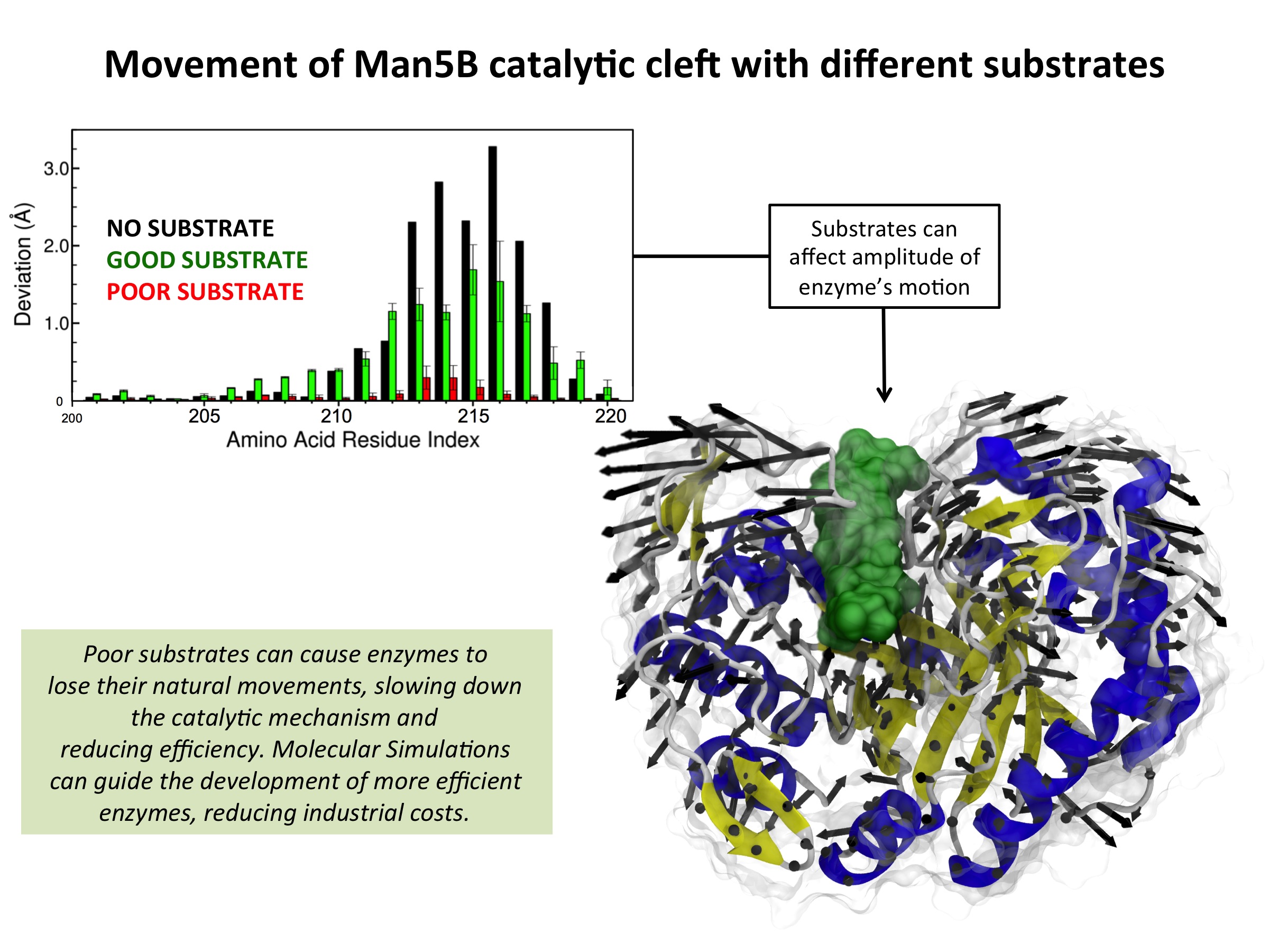 Man5B Catalytic Cleft