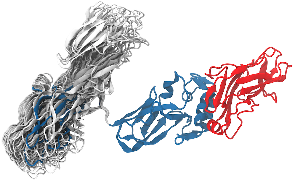 Linker Conformation