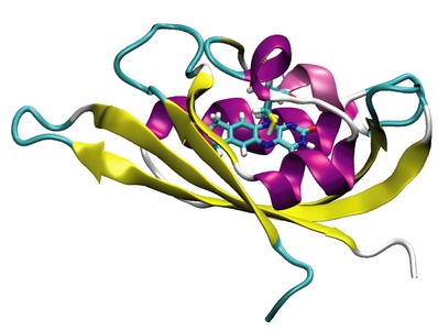 LOV domain of C. reinhardtii