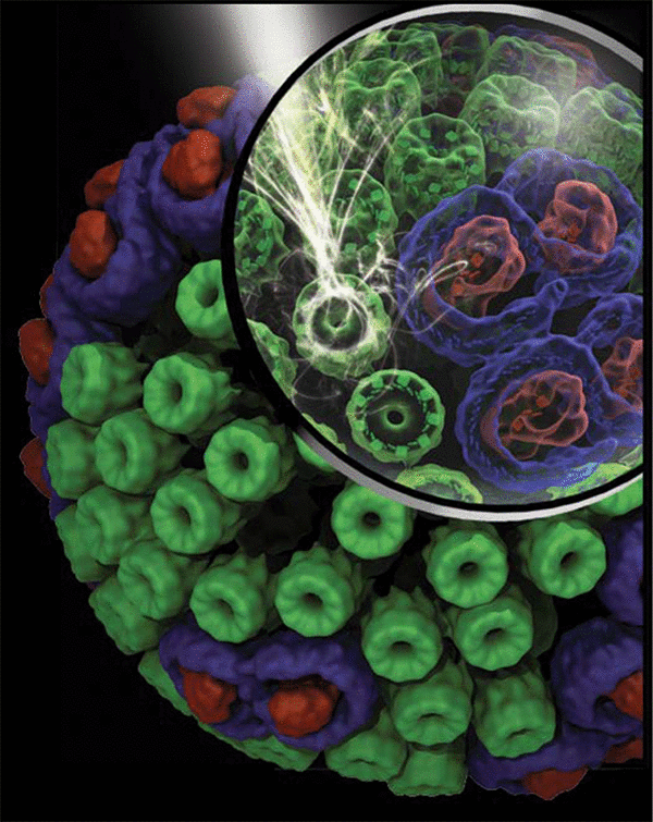 chromotophore vesicle