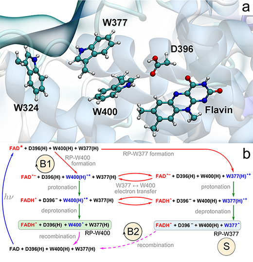 Molecular origins