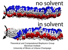 Effect of the solvent.