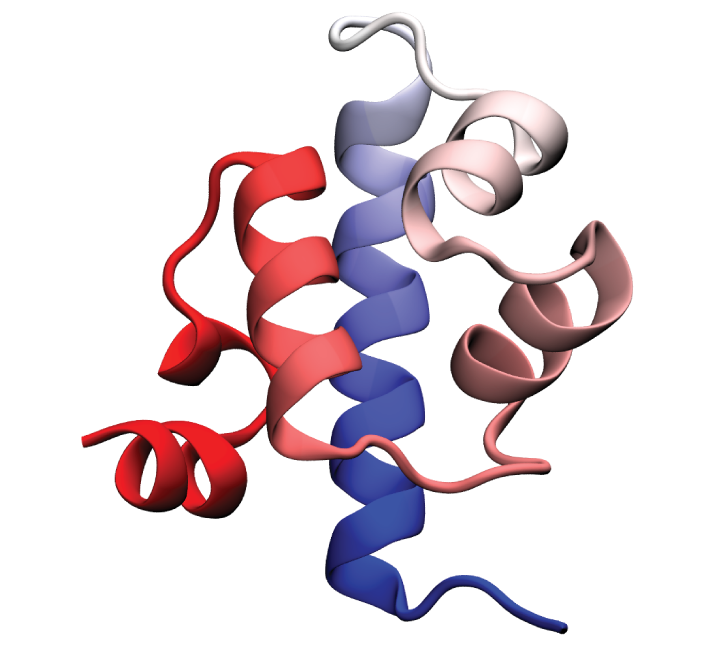 lambda repressor