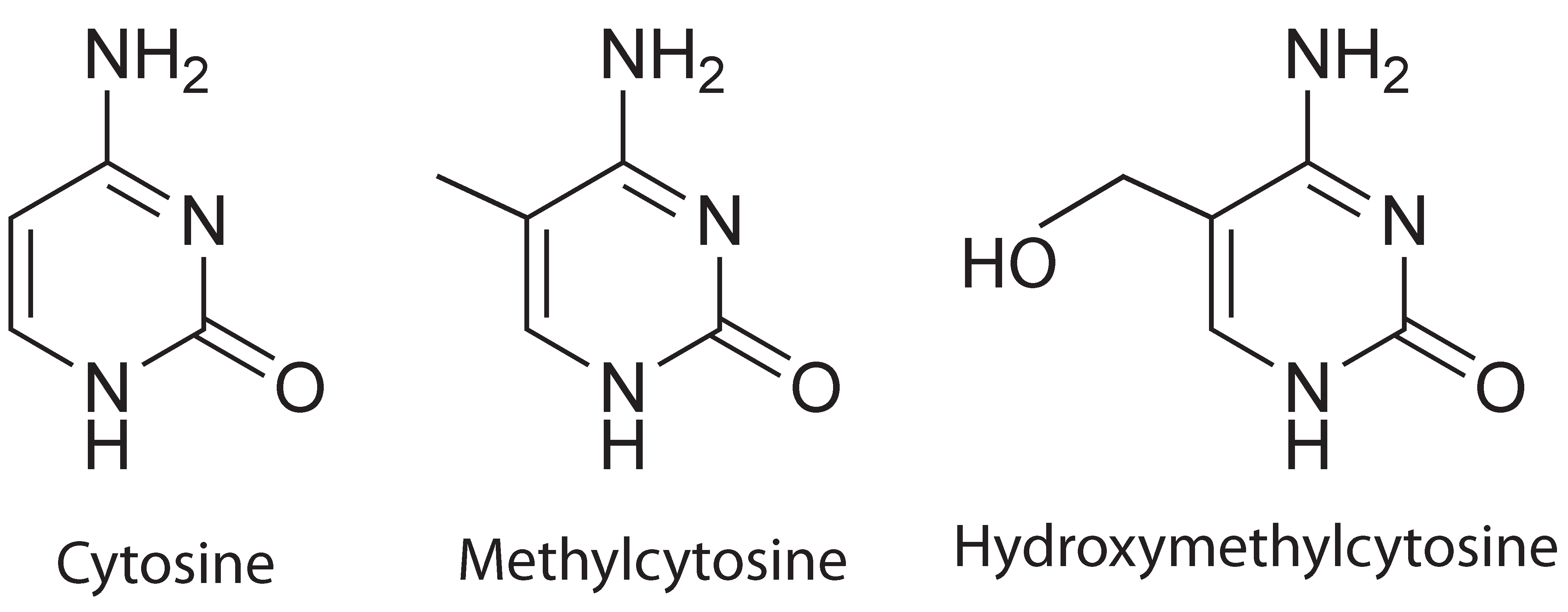 DNA_mDNA_hmDNA