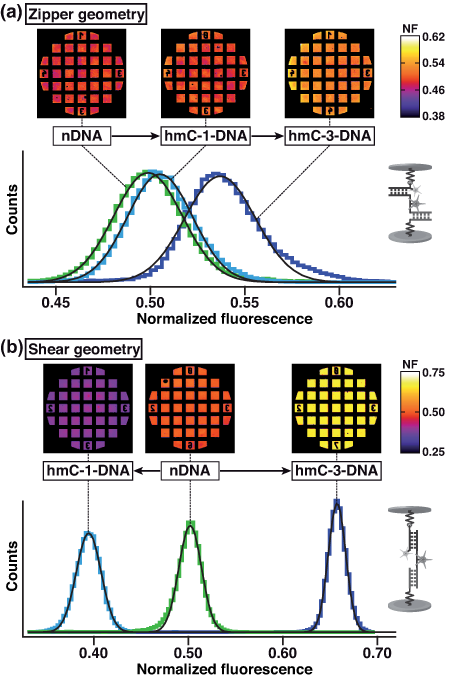 MFA_measurements