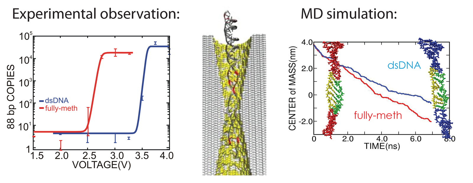 DNA_mDNA