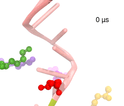 RNA translocation by Rho