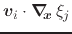 $\displaystyle {\mbox{\boldmath {$v$}}}_{i} \cdot \mbox{\boldmath$\nabla_{\!\!x}\,$}\xi_{j}$