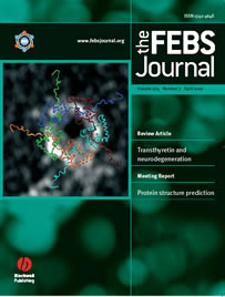 April 2007 FEBS Journal cover