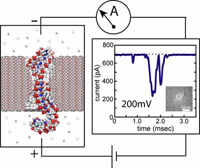 system for detection DNA with a nanopore