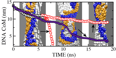 Figure 3 part (a)