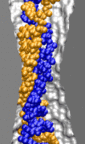 dsDNA in 2.0-nm-diameter pore at 6.5V