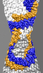 dsDNA in 2.0-nm-diameter pore