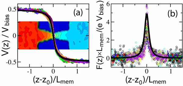 scaling of
the electrostatic potential