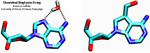 Adenosine