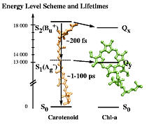 Energy Graph (Small)