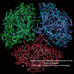 ATPase Synthase Overview