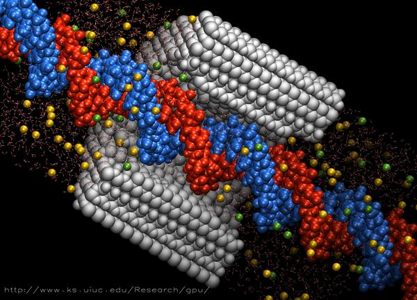 DNA nanopore demo screenshot
