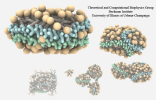 Ambient Occlusion test image created with VMD and Tachyon