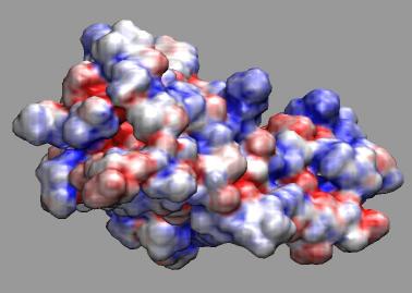 Image of FAS2, created by VMD