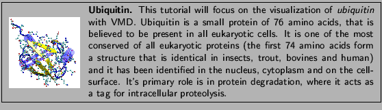 \fbox{
\begin{minipage}{.2\textwidth}
\includegraphics[width=2.3 cm, height=2....
...dation, where it acts as a tag for intracellular proteolysis.}
\end{minipage} }