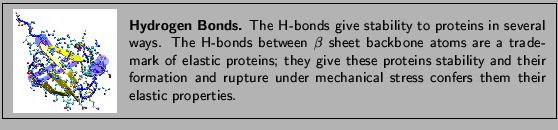 \fbox{
\begin{minipage}{.2\textwidth}
\includegraphics[width=2.3 cm, height=2....
...der
mechanical stress confers them their elastic properties. }
\end{minipage} }