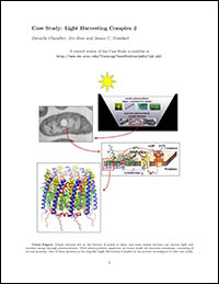 Light Harvesting Complex 2