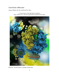 Ribosome