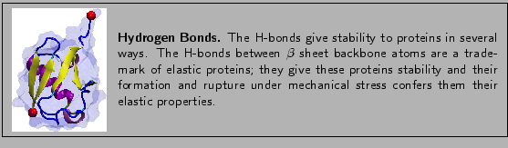 \fbox{
\begin{minipage}{.2\textwidth}
\includegraphics[width=2.3 cm]{pictures/...
...der
mechanical stress confers them their elastic properties. }
\end{minipage} }