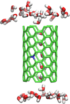 \begin{figure}\begin{center}
\par\par\latex{
\includegraphics[scale=0.5]{pictures/nanotubes-decorated}
}
\end{center} \end{figure}