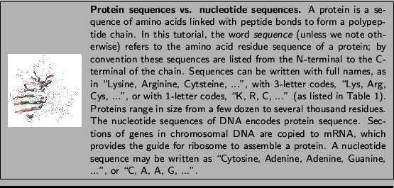 % latex2html id marker 494
\fbox{
\begin{minipage}{.2\textwidth}
\includegraph...
...e, Adenine, Adenine, Guanine,
...'', or \lq\lq C, A, A, G, ...''.}
\end{minipage} }