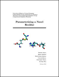 Parameterizing a Novel Residue